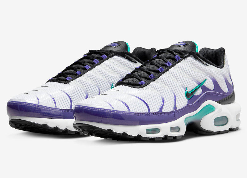 Nike Air Max Plus Tn "Grape"