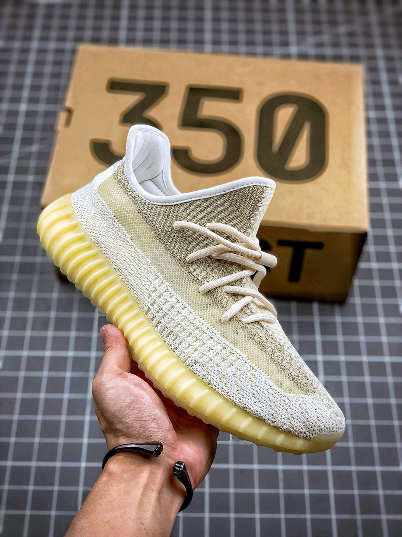 Adidas Yeezy 350 Boost V2 (Reflective)