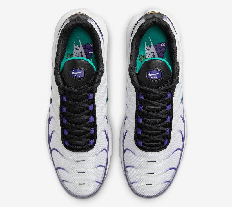 Nike Air Max Plus Tn "Grape"