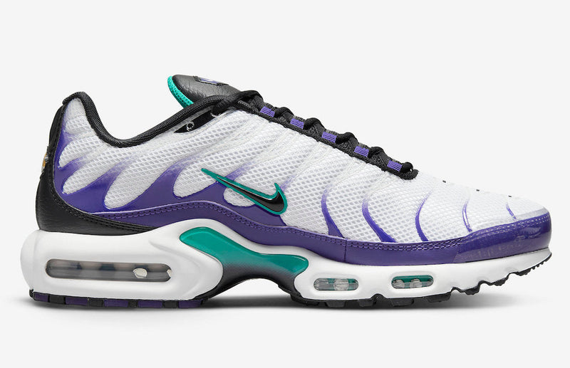 Nike Air Max Plus Tn "Grape"