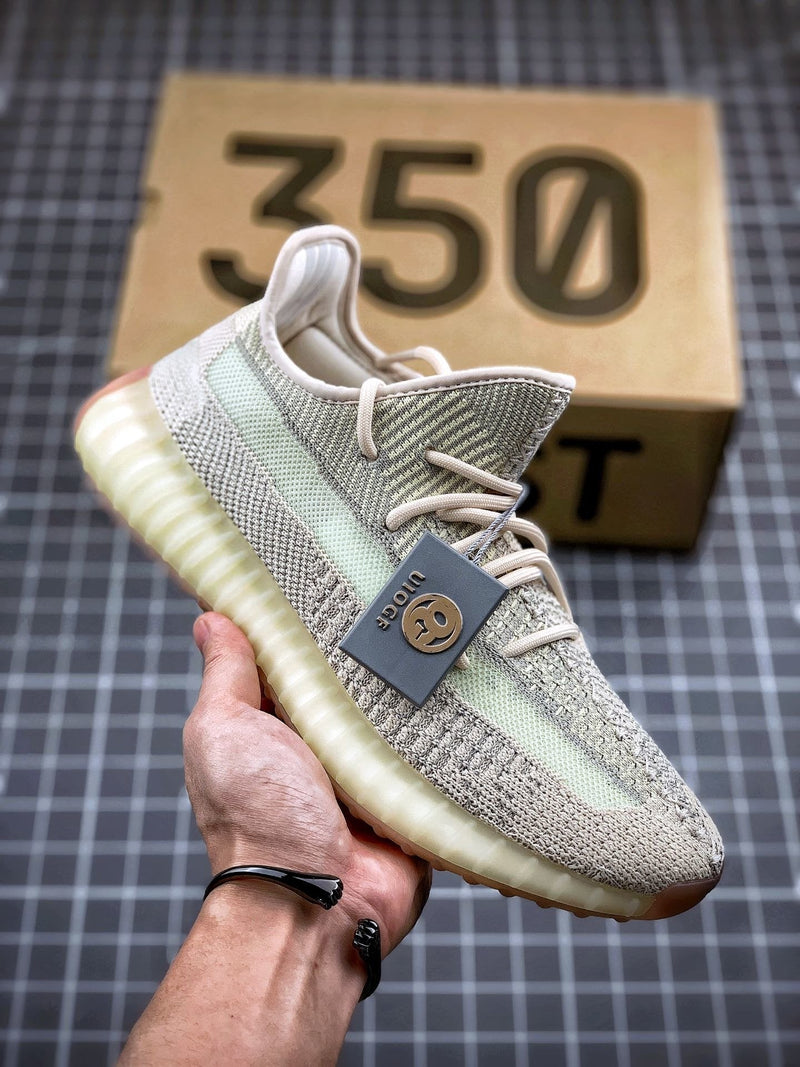 Adidas Yeezy 350 Boost V2 Static (Reflective)