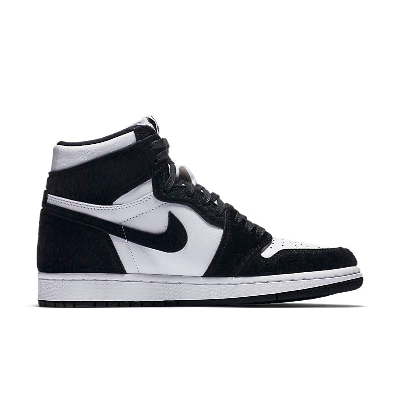 Nike Air Jordan 1 High OG Twist