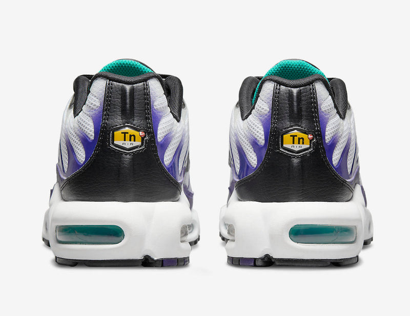 Nike Air Max Plus Tn "Grape"